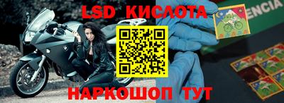 гидропоника Камышлов