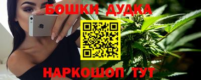 гидропоника Камышлов