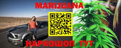 гидропоника Камышлов
