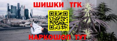 гидропоника Камышлов