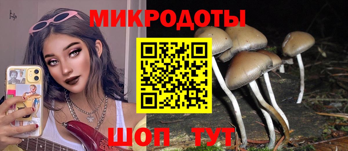 магазин    Псилоцибиновые грибы ЛСД  Вход с VPN  Георгиевск 